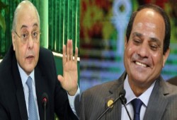 الهيئة الوطنية لانتخابات السيسي توافق على الكومبارس منافسًا للهاشتاج