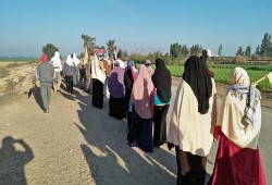 سلسلة بشرية تتحول لمسيرة لإحياء ذكري موقعة الجمل بالنوبارية