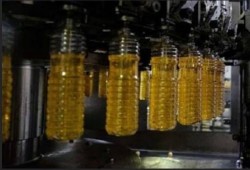 اكتشاف ضرر غير متوقع لزيت عباد الشمس