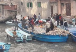 صيادو المكس بالإسكندرية: توقف الصيد المستمر يهدد بقطع أرزاقنا