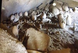 العثور على مقبرة جماعية في السعودية.. محافظ المنطقة لا يعلم عنها شيئاً إلا من خلال فيديو انتشر عنها