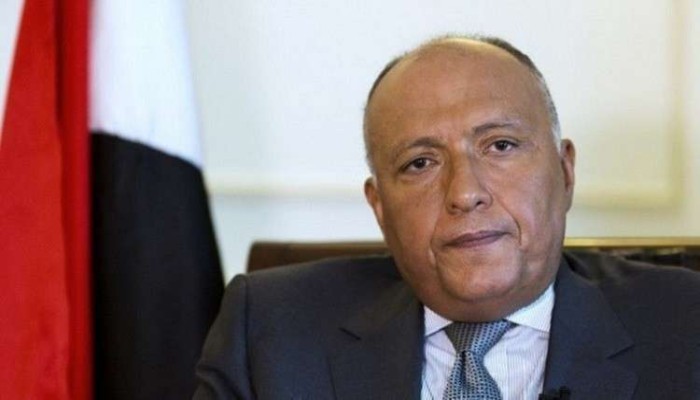 خارجية السيسي تحذر تركيا من المساس بسيادة مصر.. تعرف على السبب