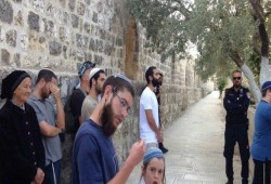 44 مستوطنًا و33 جنديًا أمريكيًا يقتحمون باحات الأقصى