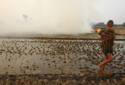 الانقلاب يخفي خسائر "سد النهضة"... فجوة غذائية وبوار أراض رغم تطمينات السيسي