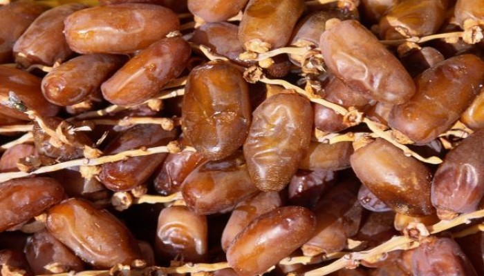 ذعر في الدنمارك بسبب "تمر إيراني"