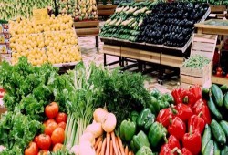استقرار أسعار الخضراوات والفاكهة بسوق الجملة