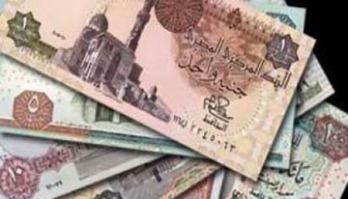 حكومة الانقلاب تقترض 15 مليار جنيه من البنوك اليوم