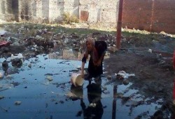 أهالي المحلة الكبرى يستغيثون من تراكم القمامة في الشوارع .. ولا مجيب