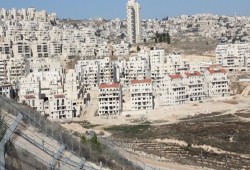 الاحتلال يصدق على بناء 3 آلاف وحدة استيطانية بالقدس