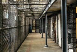 إدارة السجون الصهيونية تقرر تقليص كميات الطعام للمعتقلين