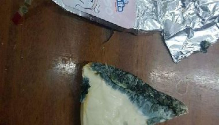 طلاب المدينة الجامعية بأسيوط: بعد عقارب الفول.. جبنة معفنة وطعام فاسد