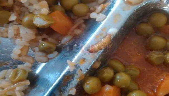 بعد الفول بالعقارب.. «بسلة بالدود» بوجبات المدينة الجامعية بالمنوفية