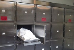 مصرع محام سقط من الدور الحادي عشر لمجمع محاكم الإسكندرية