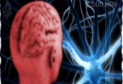 مجسات لاصقة تسرّع شفاء مرضى السكتة الدماغية