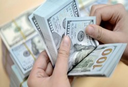 سعر الدولار اليوم الخميس
