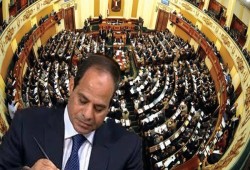 دعوات ببرلمان السيسي لعمل كتائب إلكترونية للسيطرة على الإنترنت