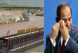 الأناضول: بعد فشله في ملف سد النهضة.. نظام السيسي يتوعد المصريين بالغرامات