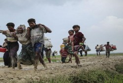 مسؤول أممي: ميانمار دمرت 319 قرية للمسلمين الروهنغيا جزئيًا أو كليًا