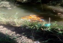 العثور على جثة فتاة مجردة من ملابسها في الدقهلية