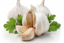 الثوم يقوي الجسم ويساعد في تخفيض الوزن