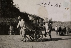 تركيا تصدر ألبوم صور لمعركة "جناق قلعة" التاريخية بالحرب العالمية الأولى