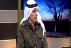 باحث سيناوي: إصدار “ولاية سيناء” الأخير فضح السيسي