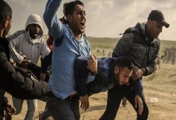 سيناتور أمريكي: قتل إسرائيل متظاهرين فلسطينيين ردّ فعلٍ مبالغ فيه