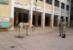 الجبهة الوطنية المصرية تشيد بمقاطعة هزلية قائد الانقلاب