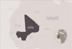 "العفو الدولية": المقبرة الجماعية وسط مالي تعود لمختفين قسريا