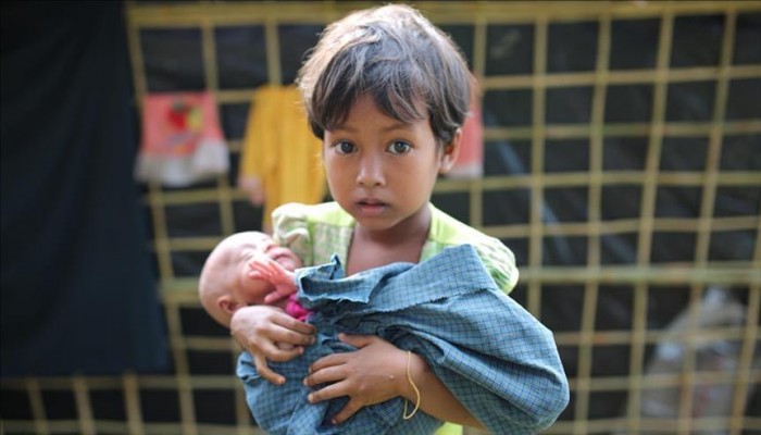 الفيلة البرية تفتك بلاجئي الروهنغيا في بنغلاديش