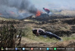 الصحة الفلسطينية: 29 شهيدًا و2850 إصابة منها 79 خطيرة