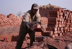 أسعار الطوب والجبس بالأسواق