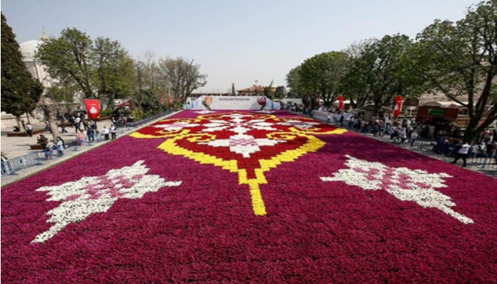اسطنبول تعرض أكبر سجادة في العالم من زهور التوليب