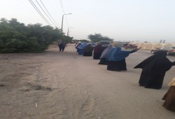 سلسله بشرية لثوار منيا القمح بالشرقية