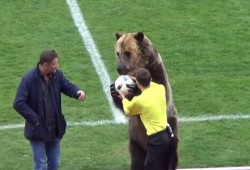 دب يفتتح مباراة في روسيا.. هل يفعلها في كأس العالم؟