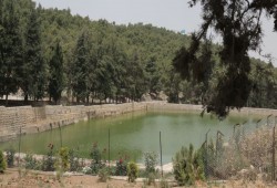 100 مستوطن يقتحمون "برك سليمان" جنوب بيت لحم