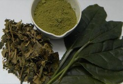 هيئة أوروبية: مكملات الشاي الأخضر تضر بصحة الكبد