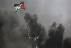 أحدث الإحصائيات... 42 شهيدا وأكثر من 5 آلاف جريح منذ انطلاق "مسيرة العودة" في غزة