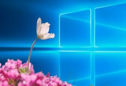 كيفية تنزيل تحديث ويندوز 10 أبريل 2018 يدويًا