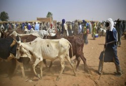 مقتل العشرات من طوارق مالي بهجومين مجهولين