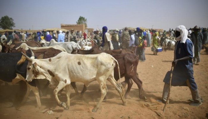مقتل العشرات من طوارق مالي بهجومين مجهولين
