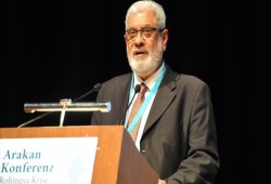 قيادي روهنغي: ميانمار تهدف إلى محو المسلمين من أراكان