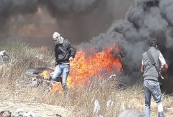 "تنسيقية العودة" تدعو لأوسع مشاركة في جمعة عمال فلسطين