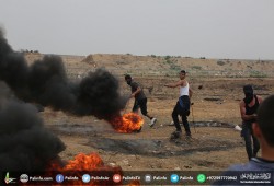 1143 مصابا من بينهم 36 طفل و 11 سيدة بجمعة عمال فلسطين