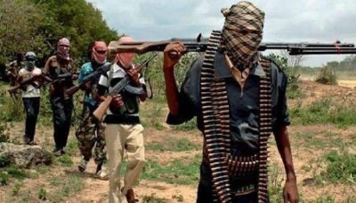 ستة قتلى في هجوم لـ«بوكو حرام» في بحيرة تشاد