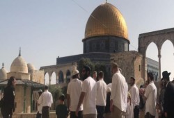 فلسطين.. 3700 مستوطنا اقتحموا الأقصى الشهر الماضي