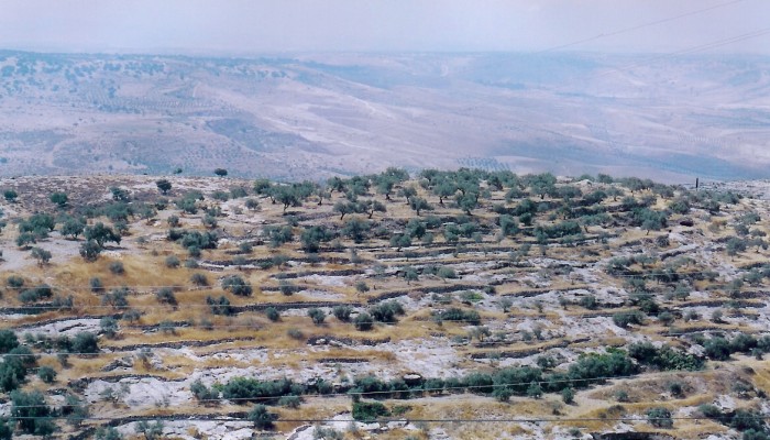 الاحتلال يكثف طلعاته في سماء الجولان