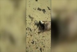 الحوثيون يعلنون قصف "أهداف اقتصادية" بالرياض