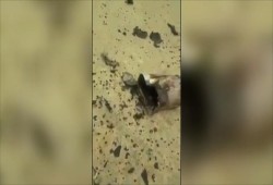 الحوثيون يعلنون قصف "أهداف اقتصادية" بالرياض