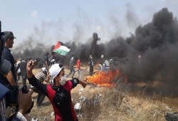 الحراك الشبابي الفلسطيني يعلن 14 و15 مايو لهيبًا على الاحتلال